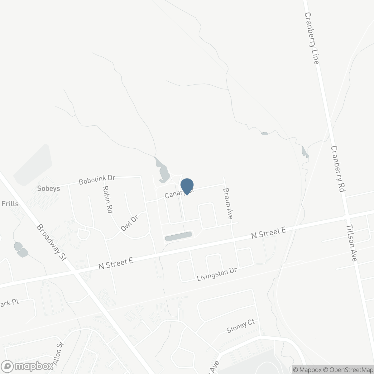 38 CANARY Street, Tillsonburg, Ontario N4G 0K3